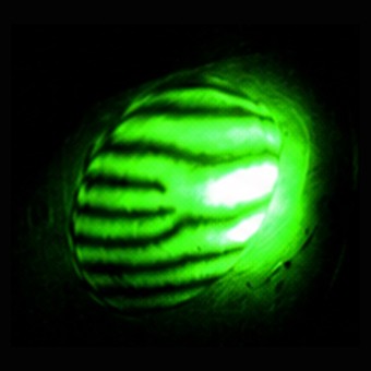 Actual detector frame, green interference fringes, control state 2