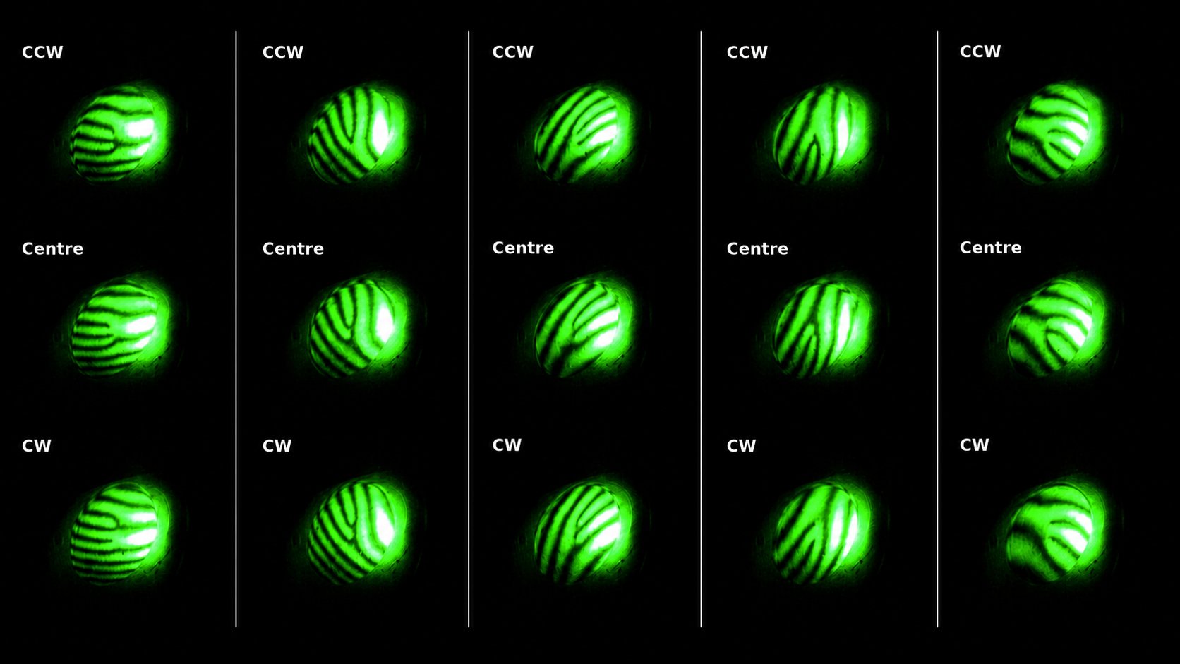 Composite of detector frames across five measurement configurations